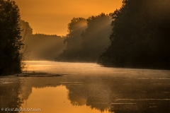 Lobau